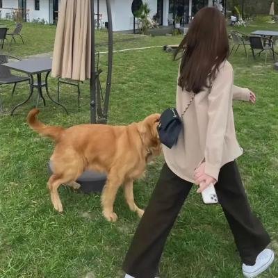 与狼共谋 封面