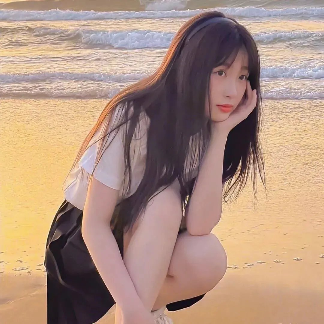 梅花档案 封面