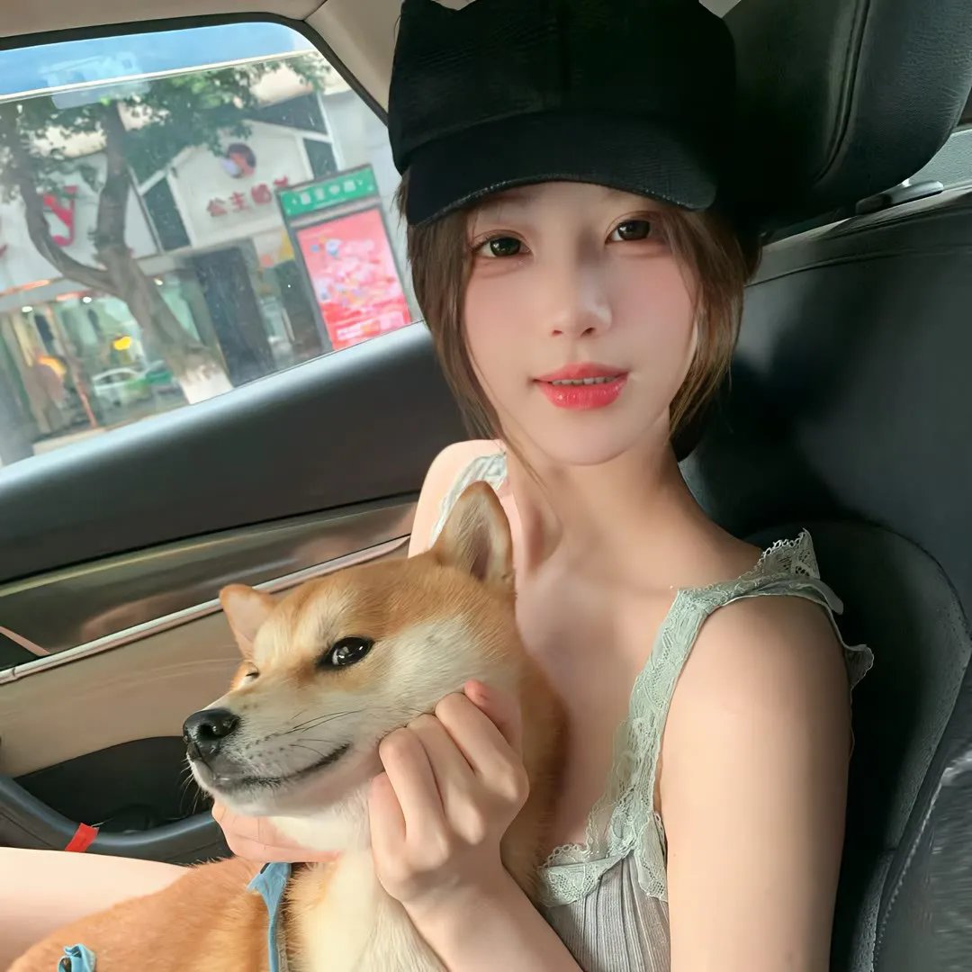 遇见莫妮卡 封面