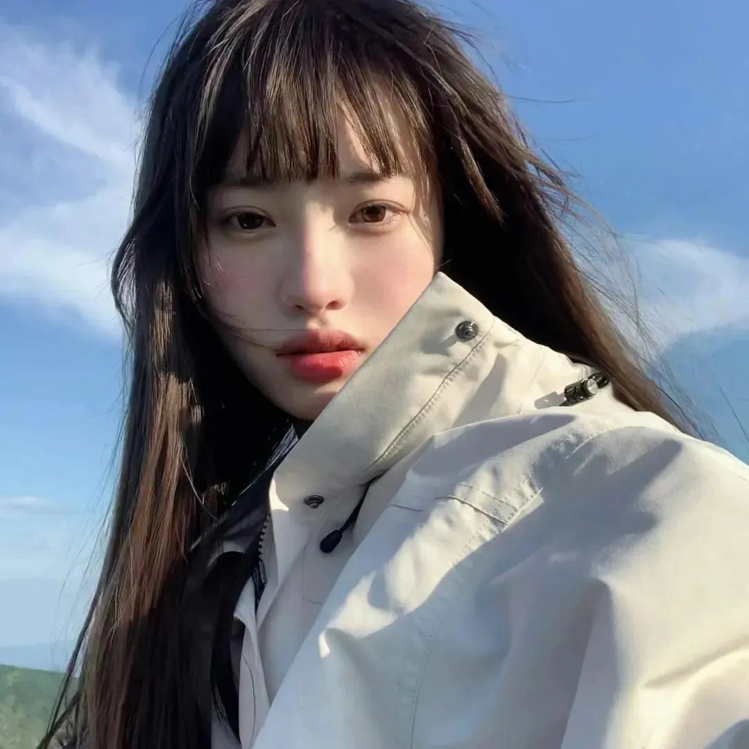 新不了情 封面